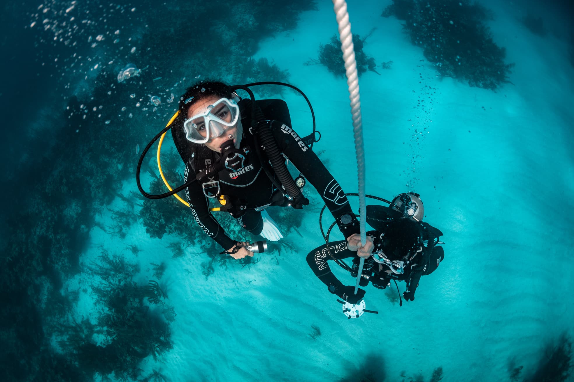 OPEN WATER DIVER